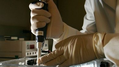 Study: High crime rates increase the “aggression of cancer”