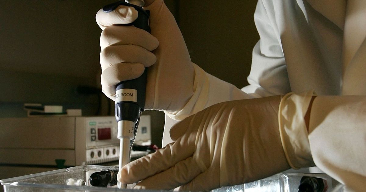 Study: High crime rates increase the “aggression of cancer”