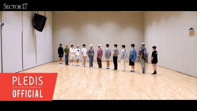[Choreography Video] SEVENTEEN(세븐틴) – _WORLD – ryan