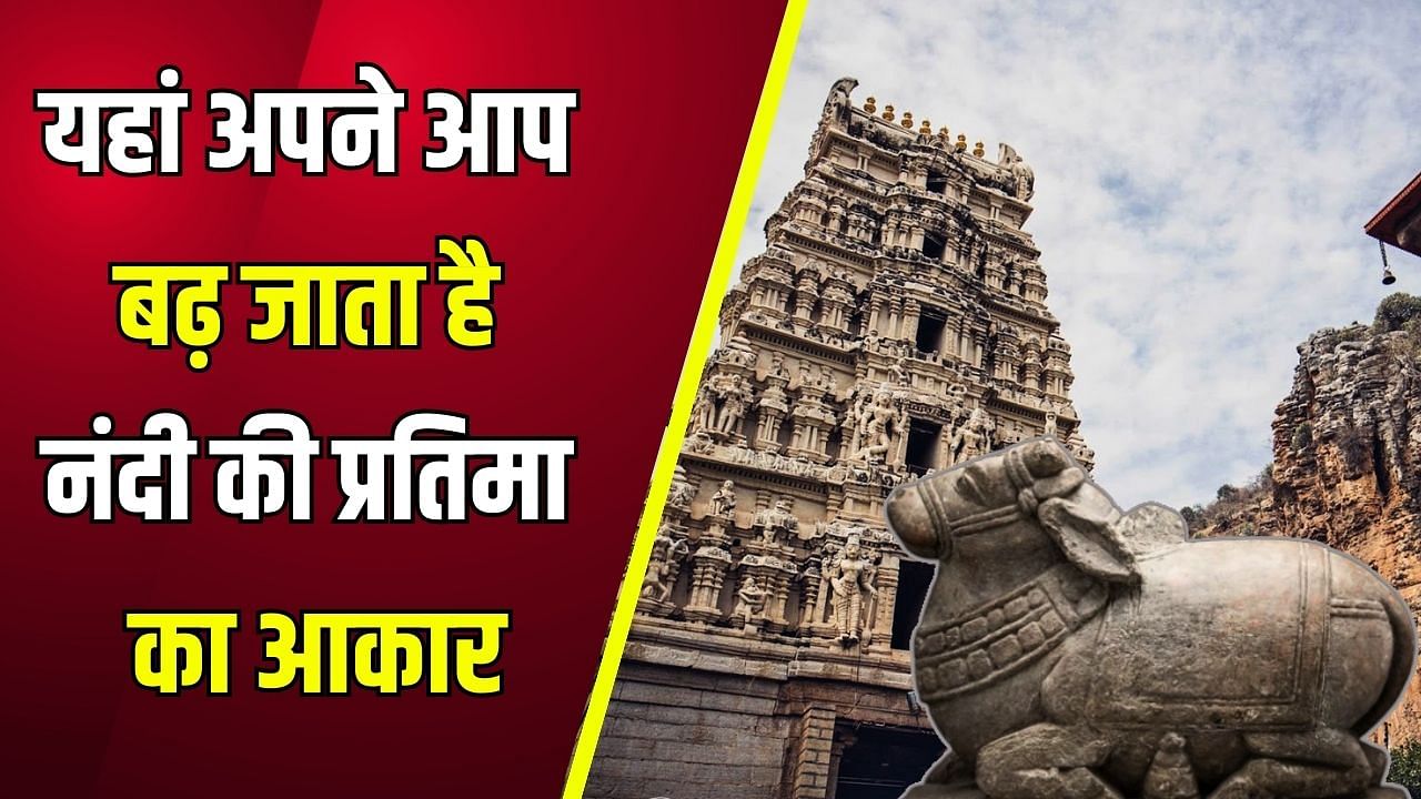 The most latest news of special