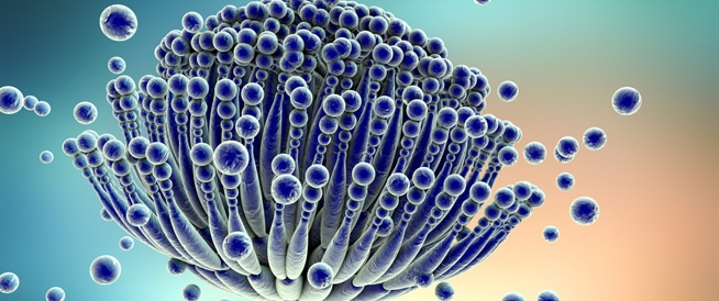 Wint disease: Causes, symptoms and treatment