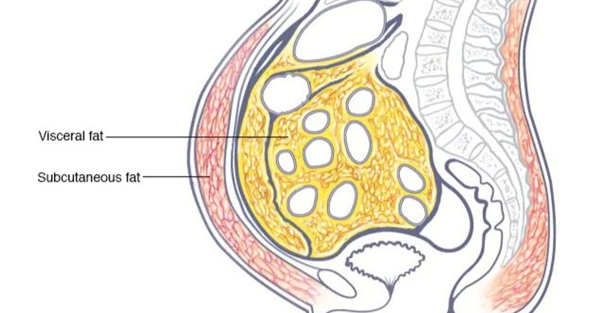 Reasons for obtaining abdominal fats and tips to get rid of it