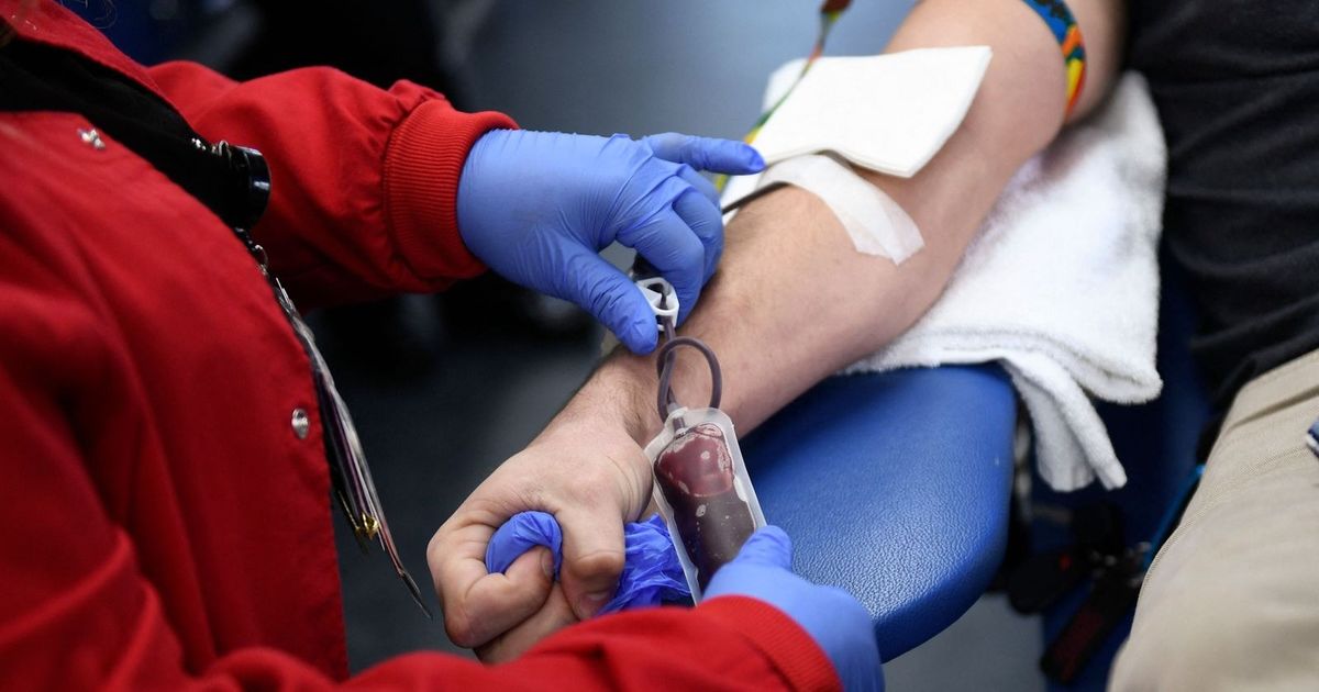 A new approach to the treatment of “blood rot” using artificial intelligence
