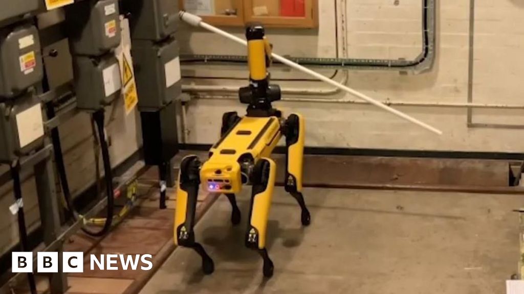 Robot Dog Sent Into Hazardous Area at Dunray to Flip Switch – ryan