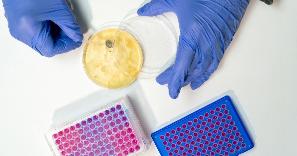 The discovery of a million possible sources of new antibiotics