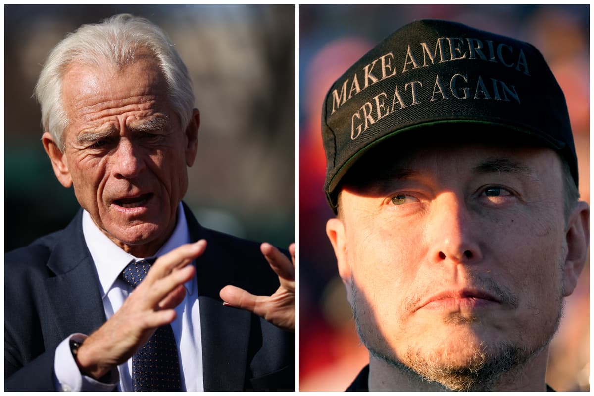 Elon Musk Calls Trump’s Chief Trade Adviser Pete Navarro A ‘Moron’ as Maga Fragments Over Tariffs – London Evening Standard – ryan