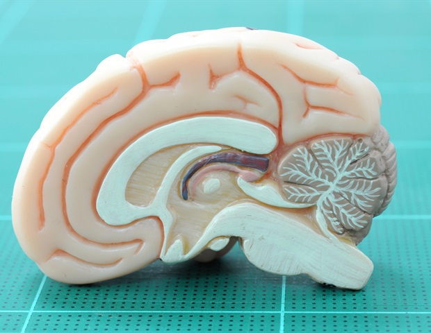 New Award to Recognize Contributions Linking Neuroscience to Psychiatric Diagnosis and Treatment – ryan