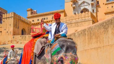 Do these fun places of Noida in your travel list