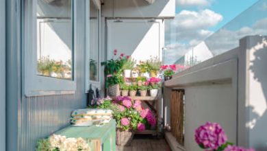 Decorate the balcony decorated with 7 plants