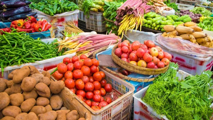 UP NEWS: Jaunpur vegetables will reach the foreigners’ plate directly, wings to earn farmers – UP news vehicles from Jaunpur will increase the plates of foreigners directly farmers revenue