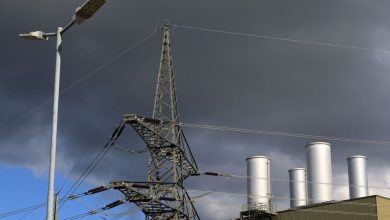 Gas prizes drop in Europe with the start of Trump’s fees