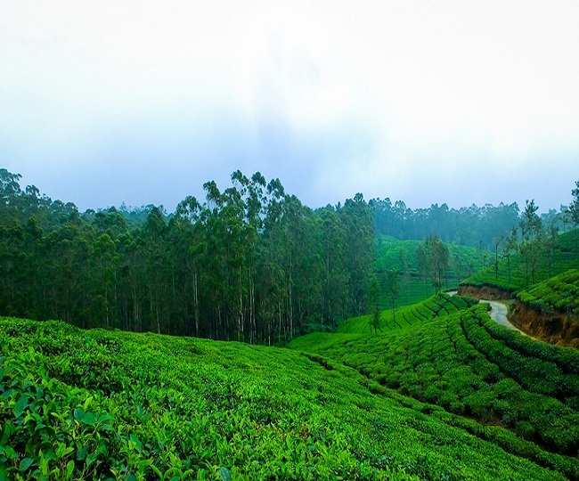 If you are tired of the everyday run, explore these places with a small pause
