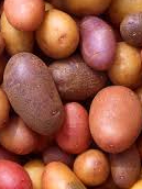Vegetables come from the foreign fruit