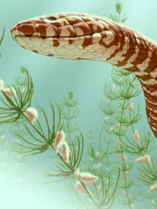 These snakes lived with dinosaurs
