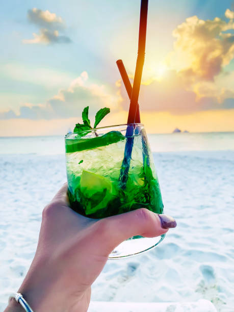 Make 7 types of special soft drinks at home
