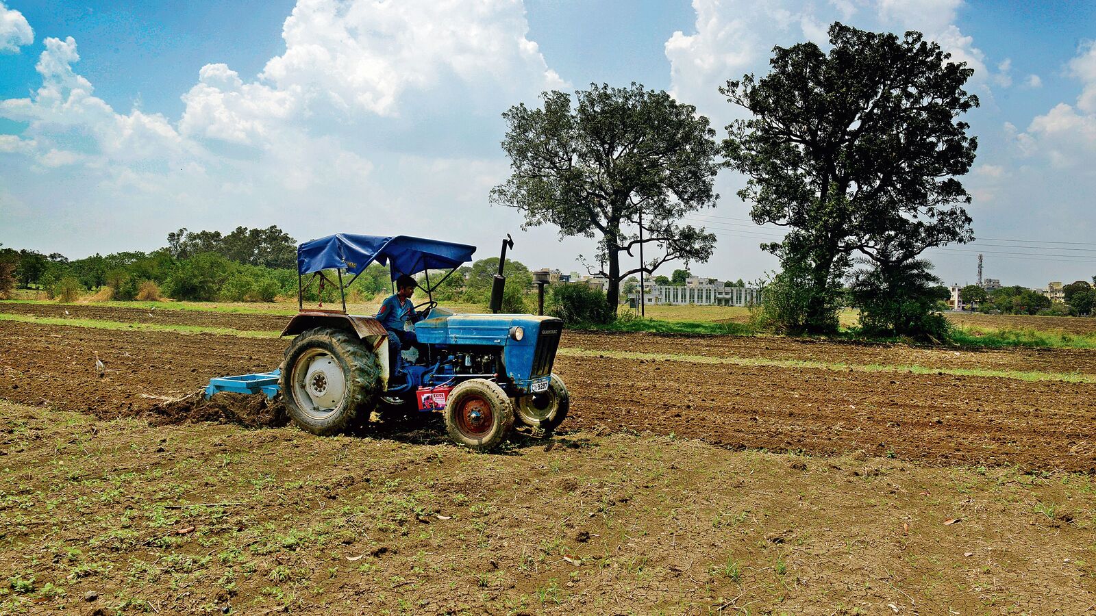 Cabinet is clean, track, irrigation works in Infra Push | Mint