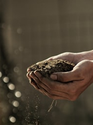Earth’s 10 most important things for people