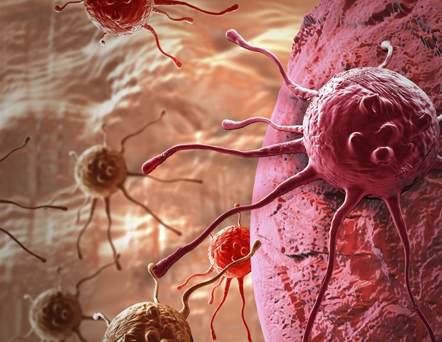 Chemotherapy Linked to Changes in Brain Connectivity in Breast Cancer Patients – ryan