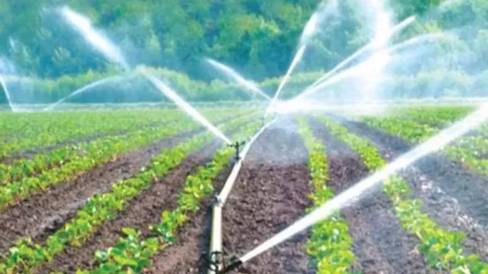 The major update on the PM agricultural irrigation scheme, Rs 1600 crore, will be spent; Know who will get the benefit – Premier Krishna Synchayee Yojana had a big boost for water management