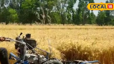 Bring this machine on subsidy, the left hand will become wheat crop