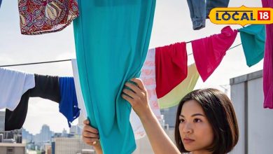 These wonderful methods fly in strong sunlight