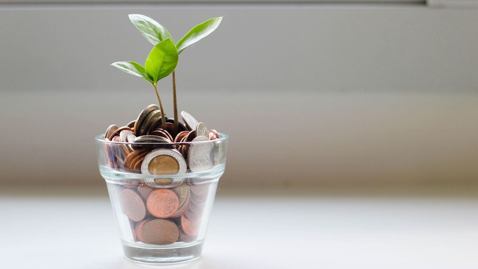 Small-cap engineering stock in focus on this Capeex update. Do you own? | Einsmark news