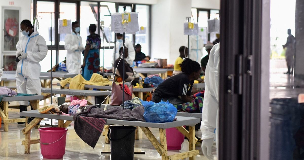 Cholera .. Food safety is a way to prevent “murderous disease”