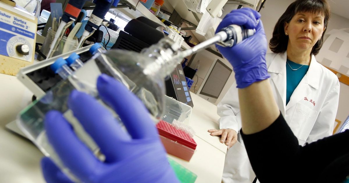 Scientists develop a new strategy for liver and body oral cirrhosis