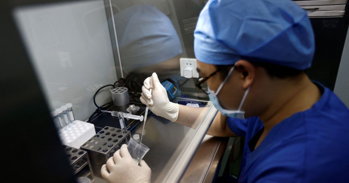 Improvement of fertility in men .. tips, standards and ban
