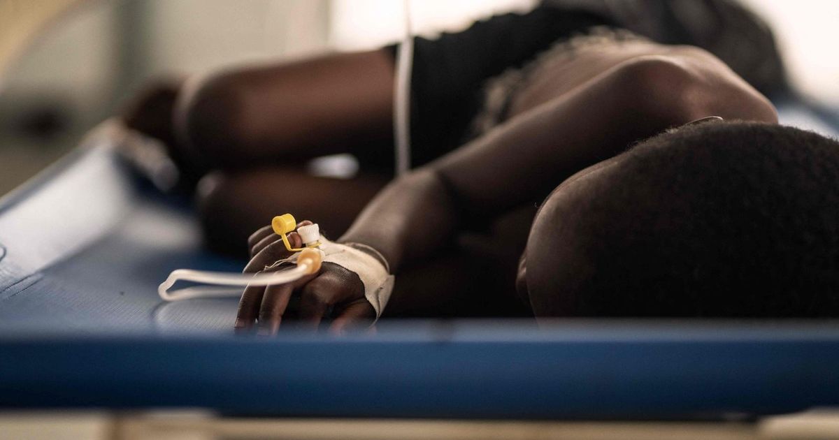 “Global Health” allows the use of a simplified vaccine against cholera