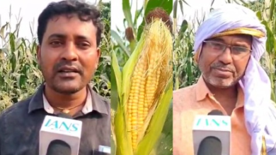 Bihar: Farmers of Motihari, inspired by Premier Modi, are more profitable than before