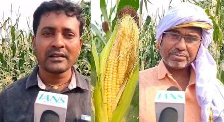 Bihar: Farmers of Motihari, inspired by Premier Modi, are more profitable than before