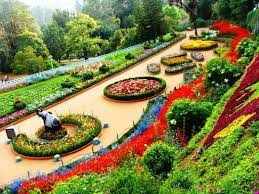 There is a plan to visit in the new year and then reach these places in Tamil Nadu. You can enjoy pleasant weather