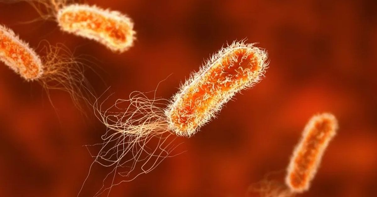 A new category of antibiotics for the treatment of bloodstream infections