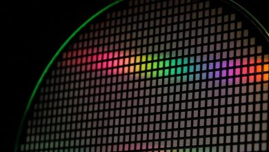 The Japanese government controls its control over the network of the chips for providing chips