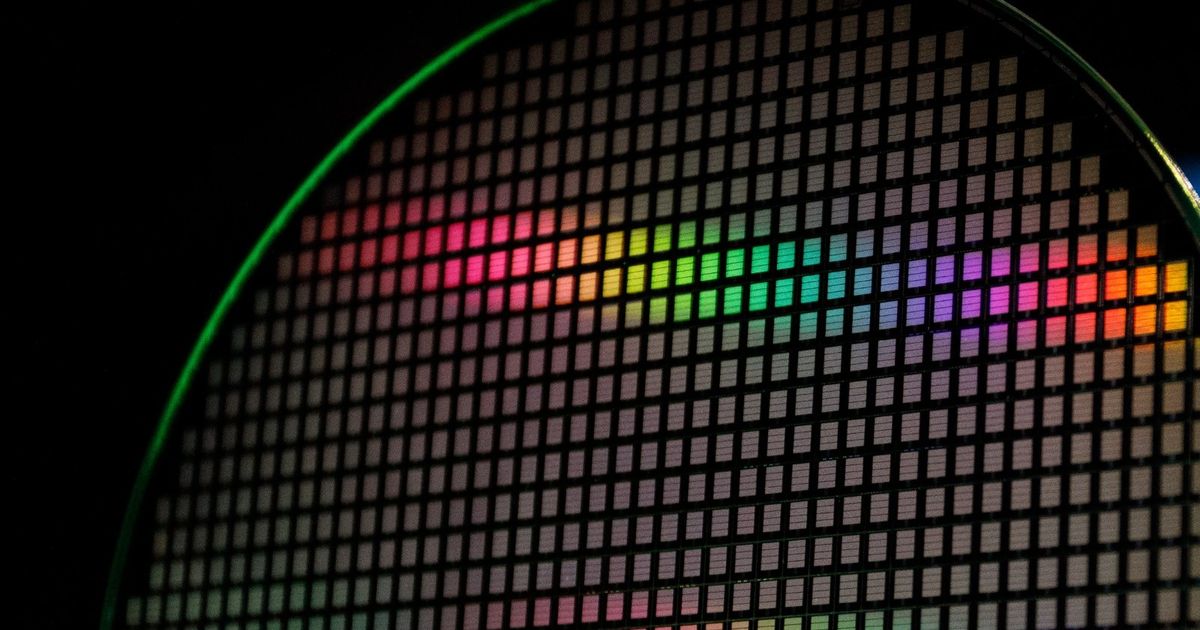 The Japanese government controls its control over the network of the chips for providing chips