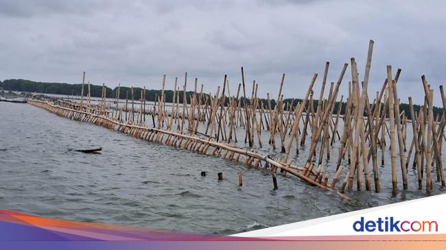 Barekrim unveiled the role of 9 suspects in the case of a sea fence in Bekasi
