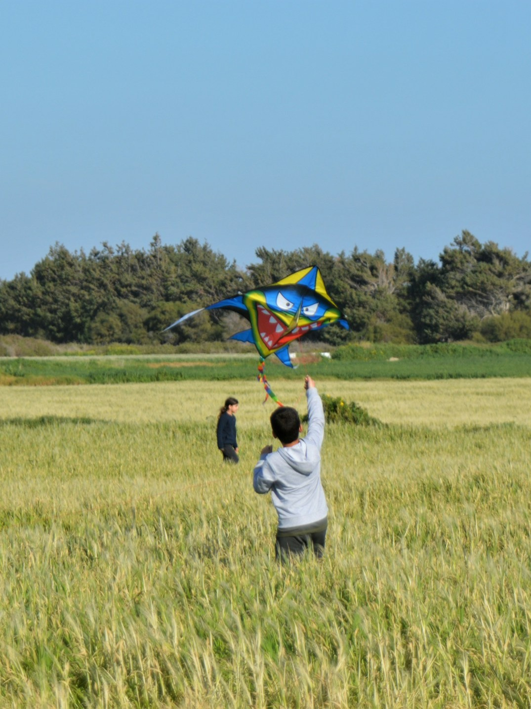 Kite flying and science behind
