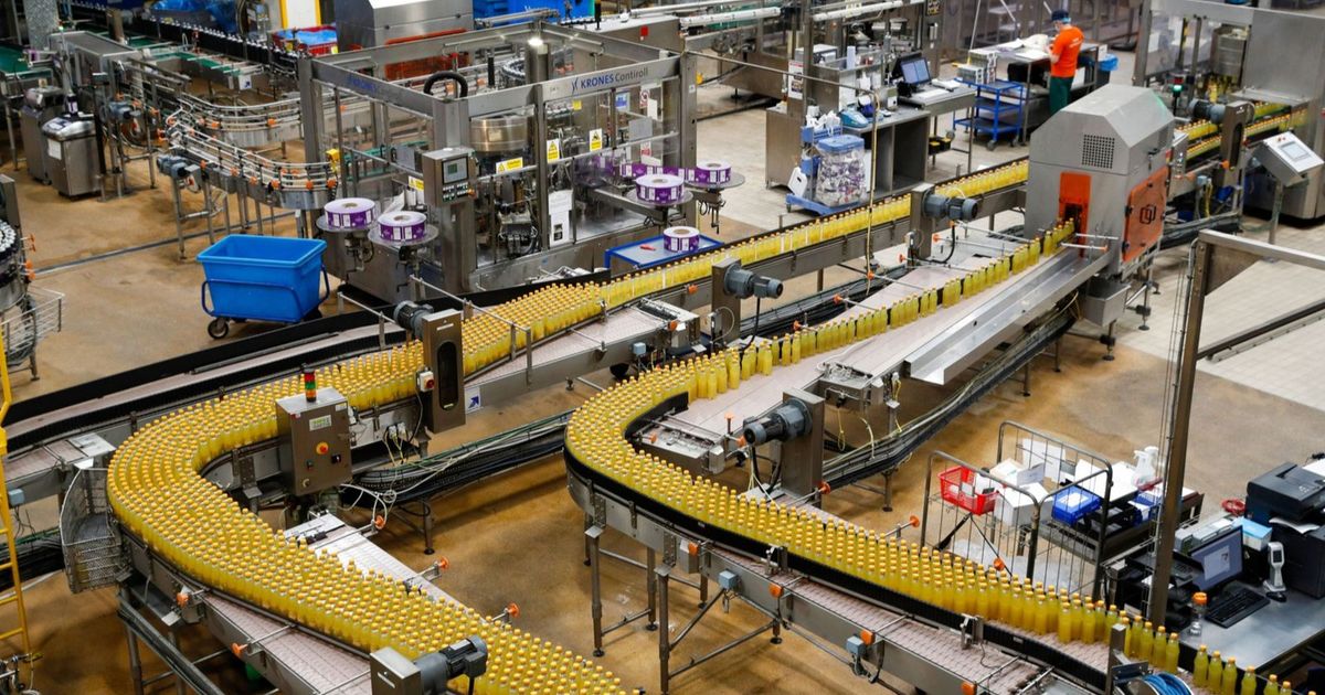 Marie Eileen -Class: Trump -commercial fees threaten orange juice in florida