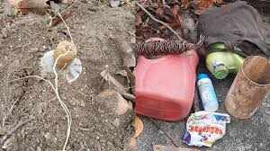 There was a conspiracy to do great damage to the security forces, so much explosives were found in Bihar that they were stunned