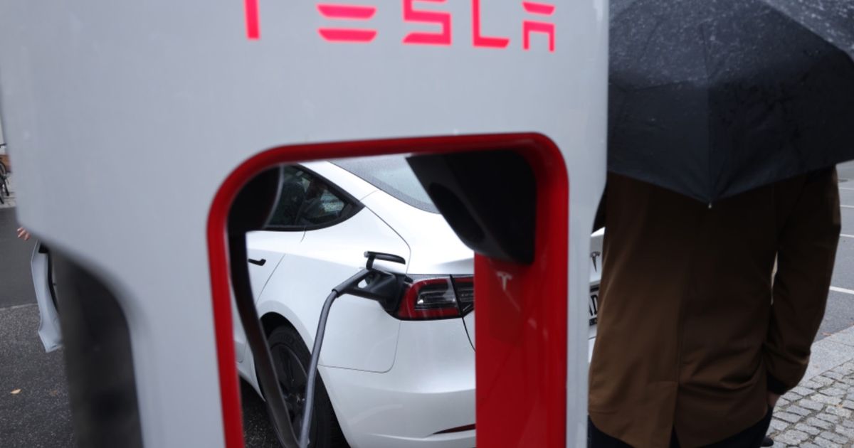 Musk supports a presidential campaign that threatens the future of his business “Tesla”