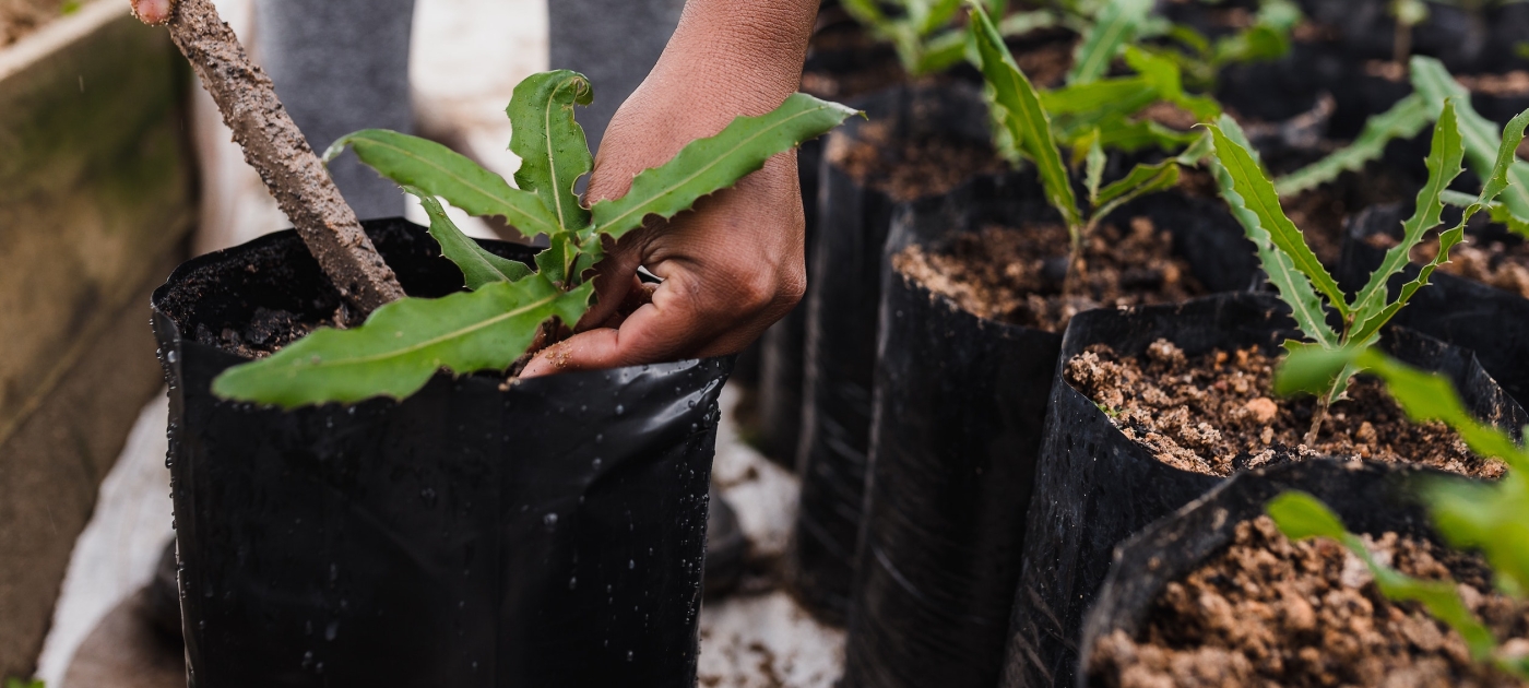 How Sustainable Living Can Help Counter The Climate Crisis – ryan