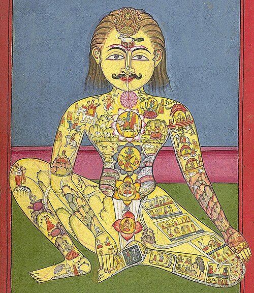 7 energy cycles and importance of human body