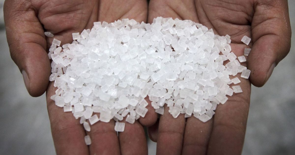 Sugar refineries in the Middle East dare the bitterness of the weakening of profits