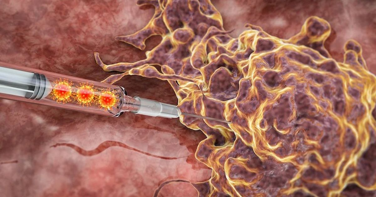 Doctors warn oncology -patients of “stuck to hungry cancer”: misleading
