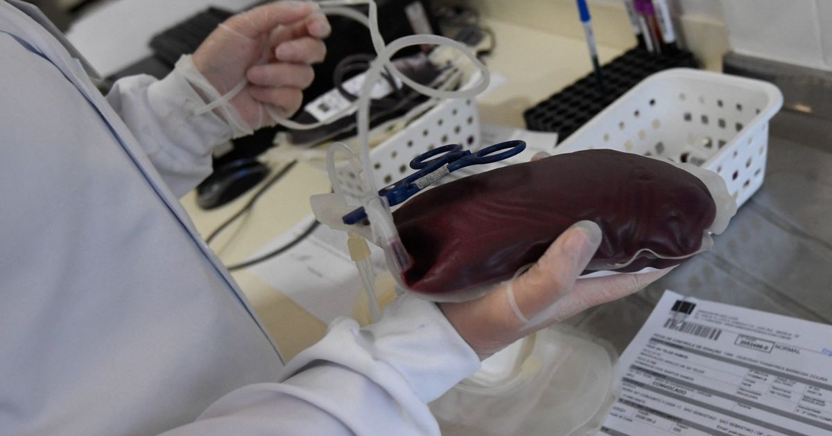 Anemia caused by a deficiency of vitamin B-12 .. symptoms, causes and methods of prevention