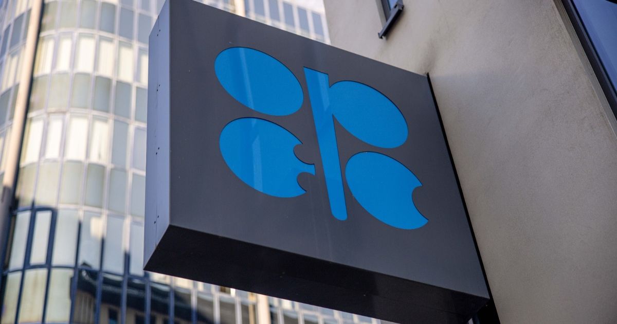 OPEC’s top producers increase oil prices after tightening sanctions against Russia