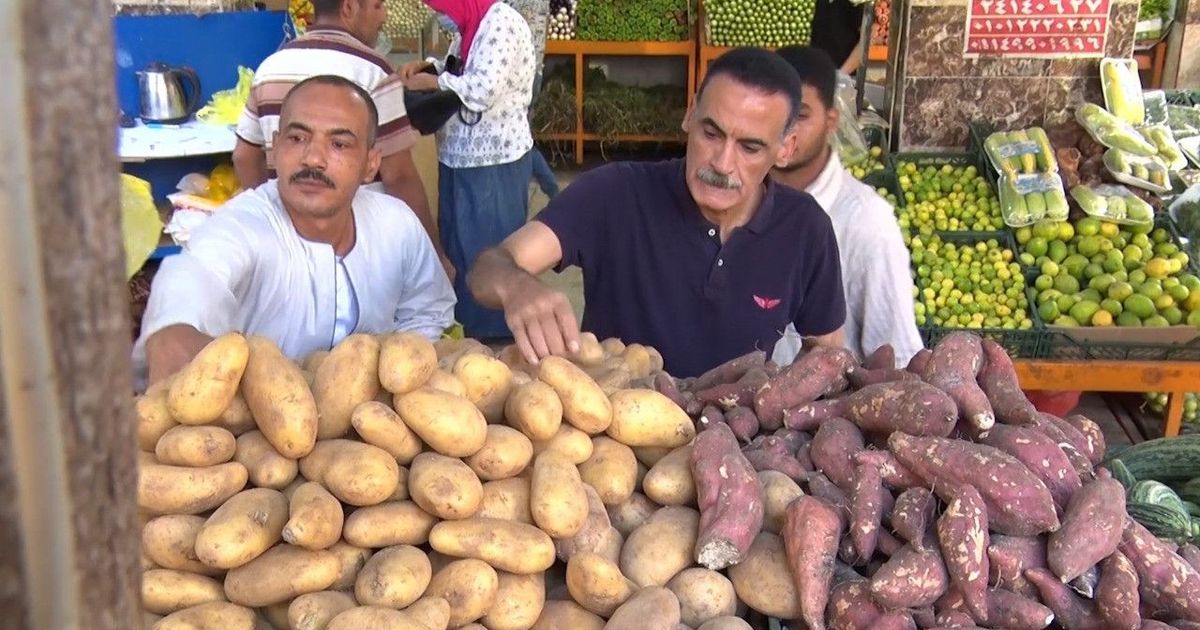To standard heights, a sharp drop in vegetable prices in Egypt