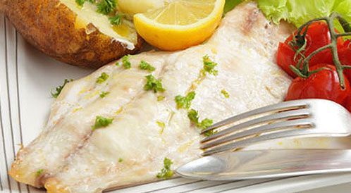 Fish Filet – Web Medicine