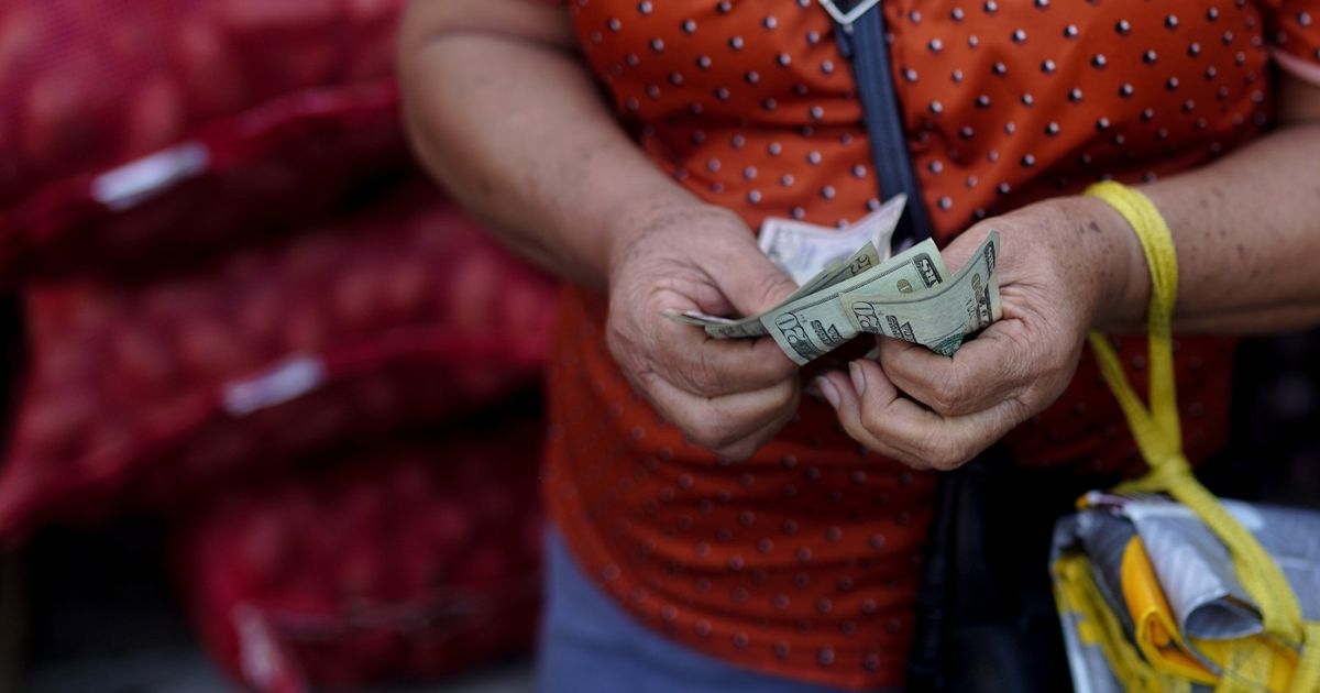 The dollar includes a volatile week with a strong performance by supporting Trump -Dead fees